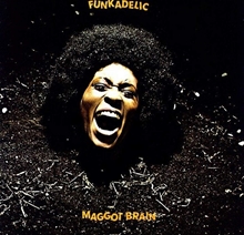 Picture of MAGGOT BRAIN