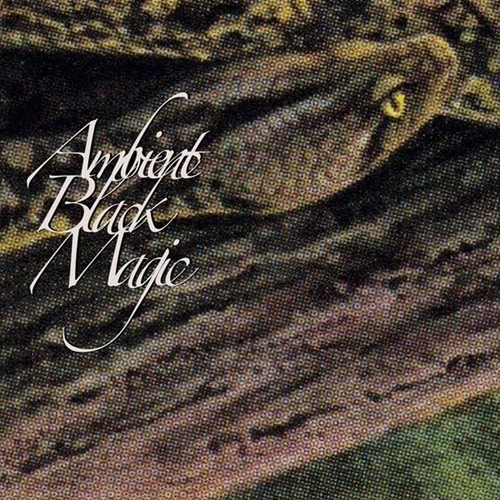 Picture of AMBIENT BLACK MAGIC (3LP)