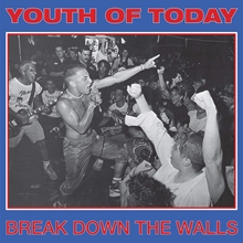 Picture of BREAK DOWN THE WALLS