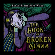 Picture of THE BOOK OF BROKEN GLASS