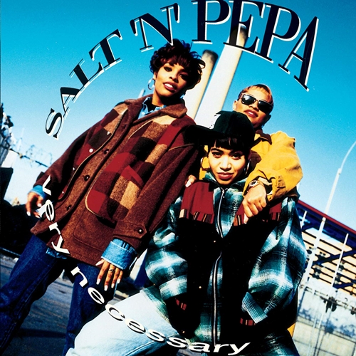 Picture of VERY NECESSARY (2LP)  by SALT N PEPA