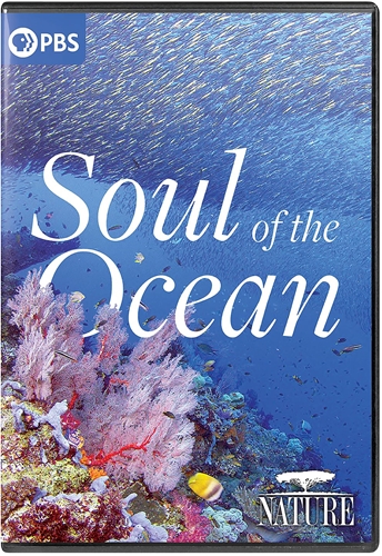 Picture of NATURE: SOUL OF THE OCEAN