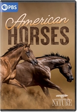 Picture of NATURE: AMERICAN HORSES