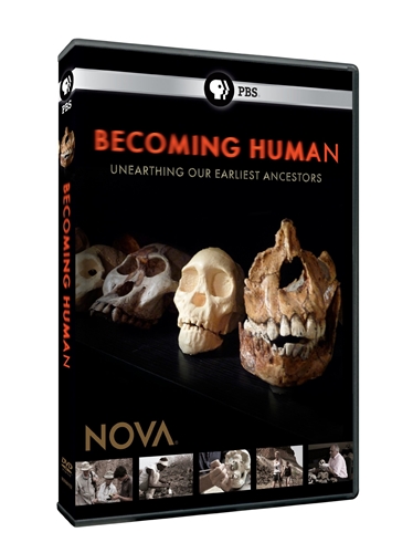 Picture of NOVA: BECOMING HUMAN