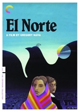 Picture of EL NORTE/DVD