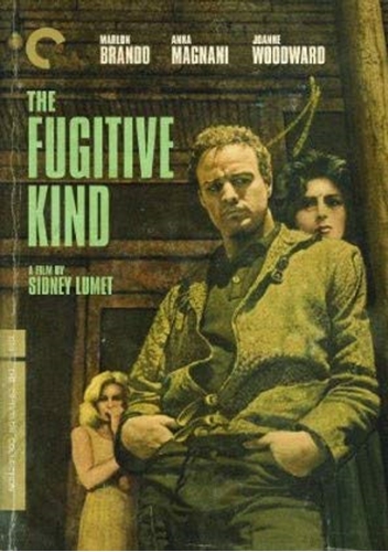 Picture of FUGITIVE KIND/DVD