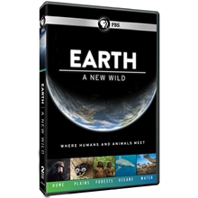 Picture of EARTH A NEW WILD