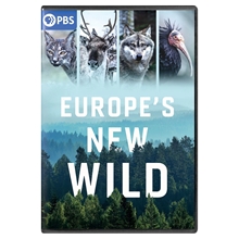 Picture of EUROPE'S NEW WILD