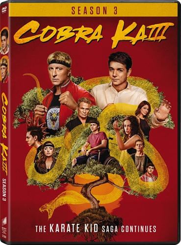 Picture of Cobra Kai: Season 3 [DVD] (D)