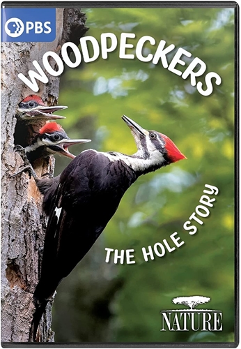 Picture of NATURE: WOODPECKERS - THE HOLE STORY