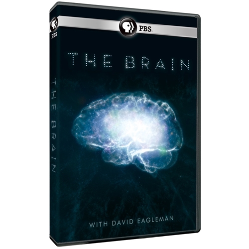 Picture of BRAIN WITH DAVID EAGLEMAN