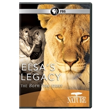 Picture of NATURE: ELSA'S LEGACY: THE BORN FREE STORY