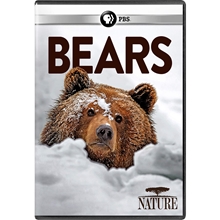 Picture of NATURE: BEARS