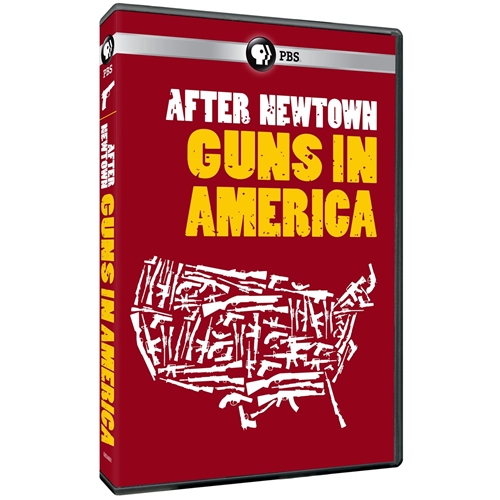 Picture of AFTER NEWTOWN: GUNS IN AMERICA