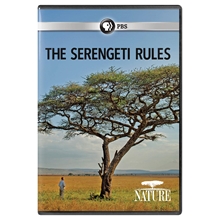 Picture of NATURE: SERENGETI RULES