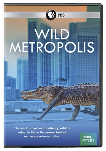 Picture of WILD METROPOLIS