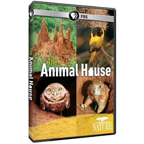 Picture of NATURE: THE ANIMAL HOUSE