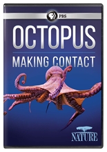 Picture of NATURE: OCTOPUS - MAKING CONTACT