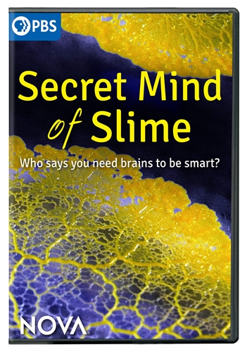 Picture of NOVA: SECRET MIND OF SLIME