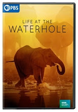 Picture of LIFE AT THE WATERHOLE