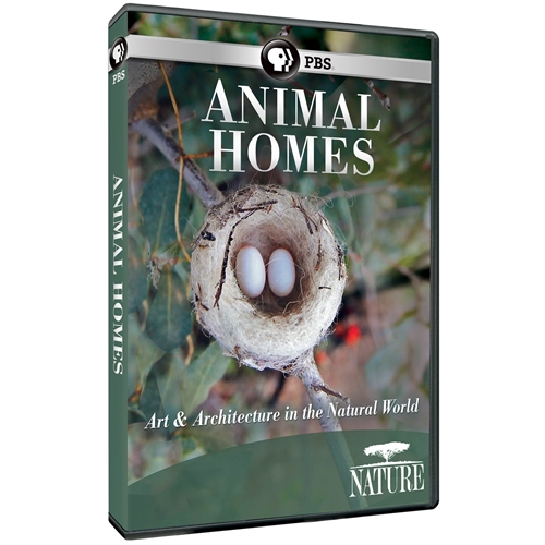 Picture of NATURE: ANIMAL HOMES