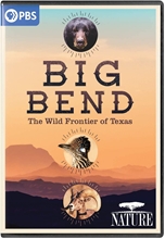 Picture of NATURE: BIG BEND - THE WILD FRONTIER OF TEXAS