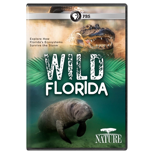 Picture of NATURE: WILD FLORIDA