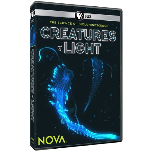 Picture of NOVA: CREATURES OF LIGHT