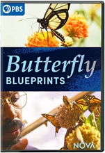 Picture of NOVA: BUTTERFLY BLUEPRINTS