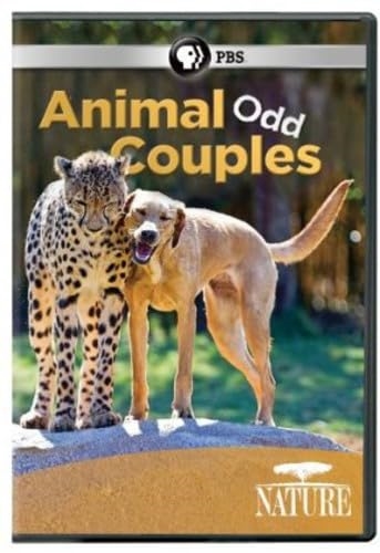 Picture of NATURE: ANIMAL ODD COUPLES