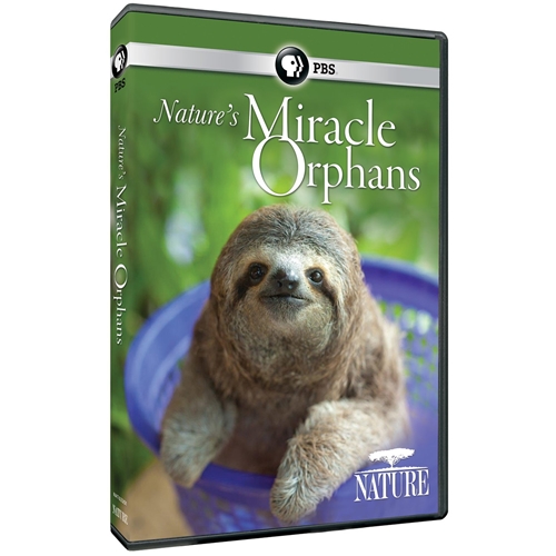 Picture of NATURE: NATURE'S MIRACLE ORPHANS