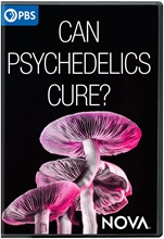 Picture of NOVA: CAN PSYCHEDELICS CURE