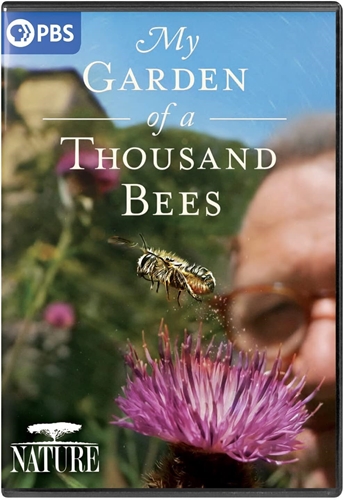 Picture of NATURE: MY GARDEN OF A THOUSAND BEES