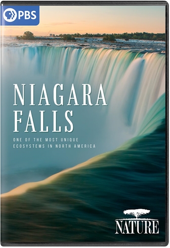 Picture of NATURE: NIAGARA FALLS