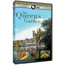 Picture of QUEEN'S GARDEN