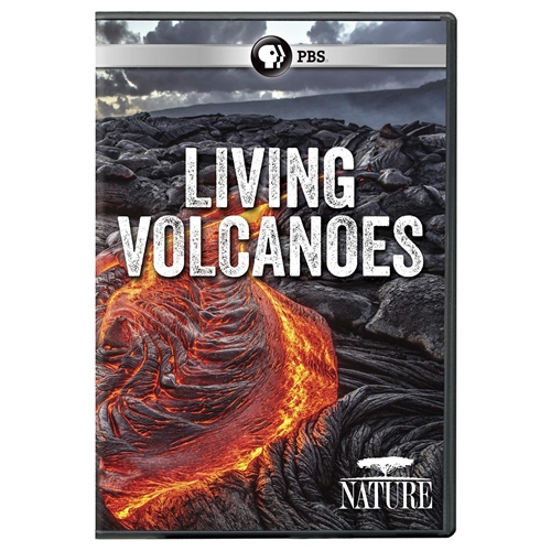 Picture of NATURE: LIVING VOLCANOES