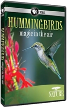 Picture of NATURE: HUMMINGBIRDS