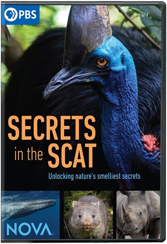 Picture of NOVA: SECRETS IN THE SCAT