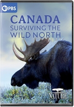 Picture of NATURE: CANADA - SURVIVING THE WILD NORTH