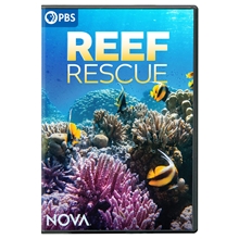 Picture of NOVA: REEF RESCUE