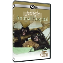 Picture of NATURE: JUNGLE ANIMAL HOSPITAL