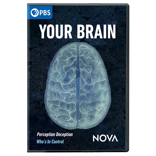 Picture of NOVA: YOUR BRAIN