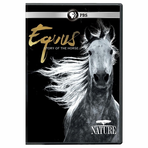 Picture of NATURE: EQUUS - STORY OF THE HORSE