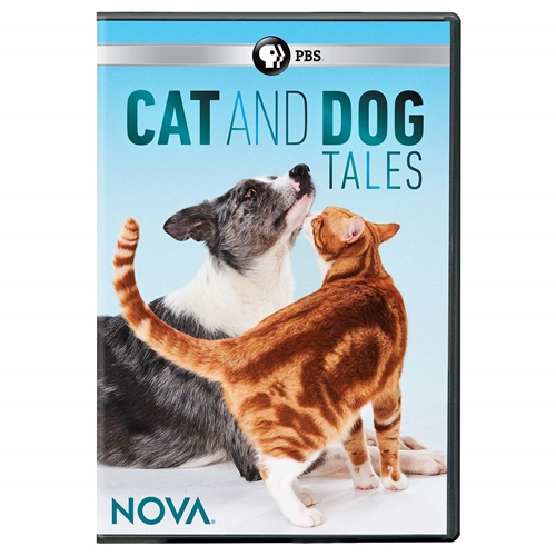 Picture of NOVA: CAT & DOG TALES