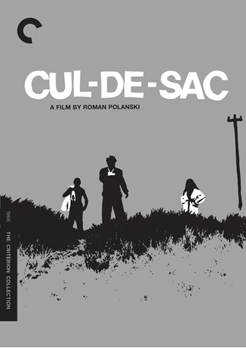 Picture of CUL-DE-SAC/DVD