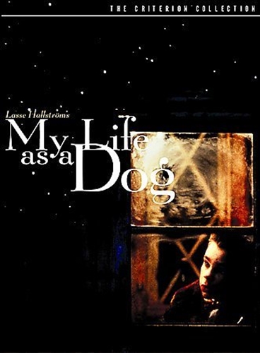 Picture of MY LIFE AS A DOG/DVD