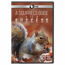 Picture of NATURE: A SQUIRREL'S GUIDE TO SUCCESS