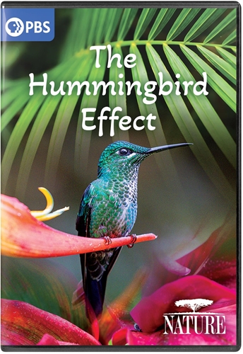 Picture of NATURE: THE HUMMINGBIRD EFFECT