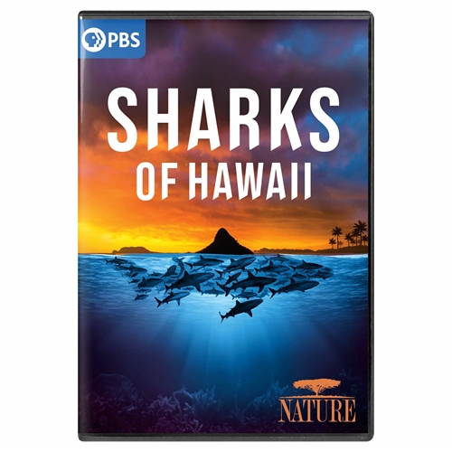 Picture of NATURE: SHARKS OF HAWAII