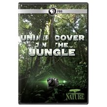 Picture of NATURE: UNDERCOVER IN THE JUNGLE